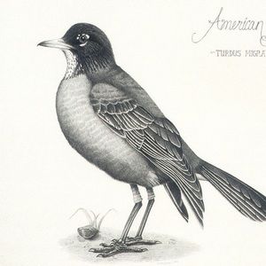 Meet your Posher, Alexandria